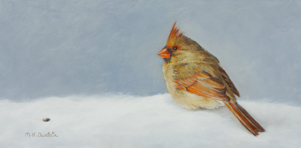 Cardinal femelle Octobre et lumieres